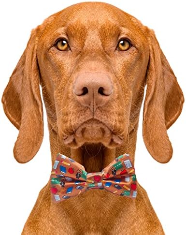 Сладки вратовръзки-пеперуди за кучета, учител - 2 x 4 Вратовръзки-пеперуди премиум качество за кучета - Необичайна вратовръзка за кучета с еластични ленти - Скъпа вратовръзка за кучета Подходящи за най-греди - Вратовръзка