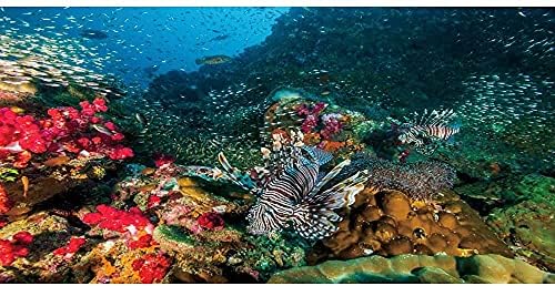 НЕВЕРОЯТЕН Подводен фон за аквариум, коралов Фон за гмуркане аквариум с рибки винил 24x12 инча