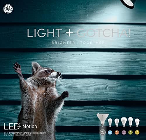 Led лампа на GE Lighting LED + С датчик за движение, Топло Бяло, Охранителна лампа, Лампа за прожектор външно PAR38 (1 опаковка)