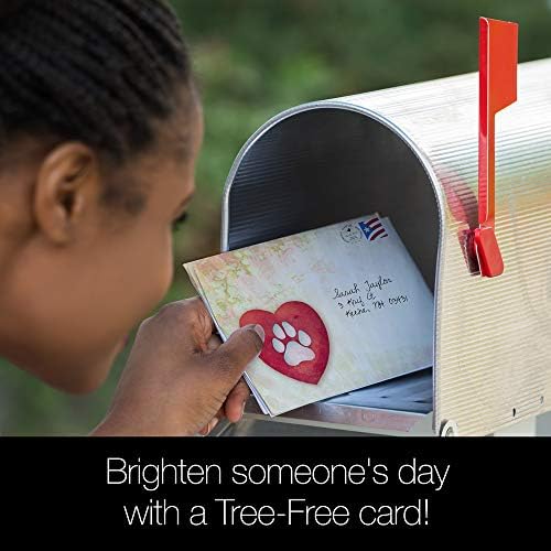Набор от пощенски картички Писма завинаги, приятели, съчувствие домашни любимци без дърво, 5 x 7 инча, 8 пощенски картички и пликове, в комплект (GA31528)